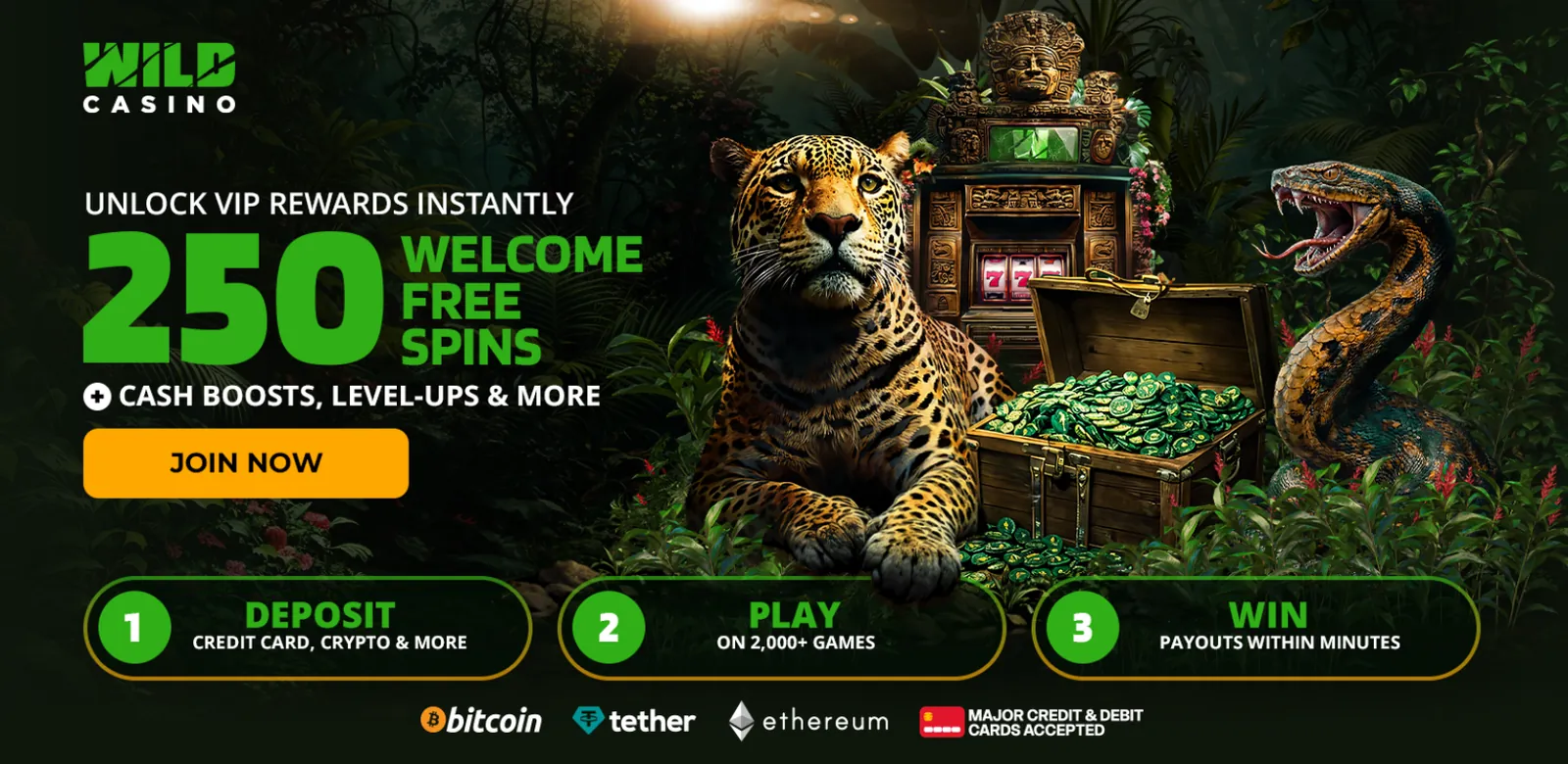 Wild Casino no deposit bonus codes are not shown on its welcome page, which leads with 250 welcome free spins and Bitcoin, Tether, Ethereum and card deposits